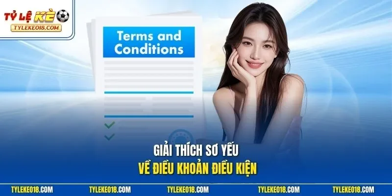 Giải thích sơ yếu về điều khoản điều kiện 